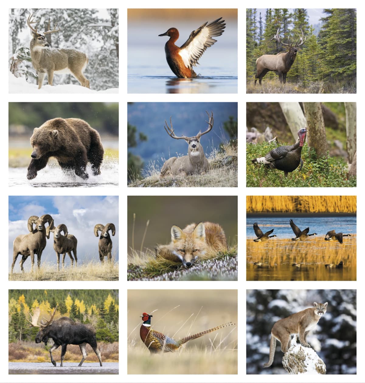Southcentral Sportsman Calendar