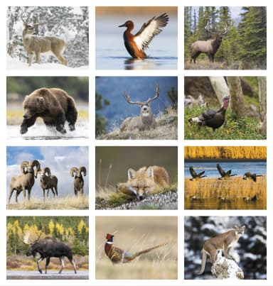 Southcentral Sportsman Calendar