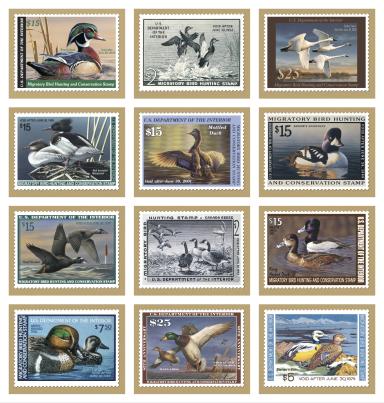 Duck Stamp Calendar
