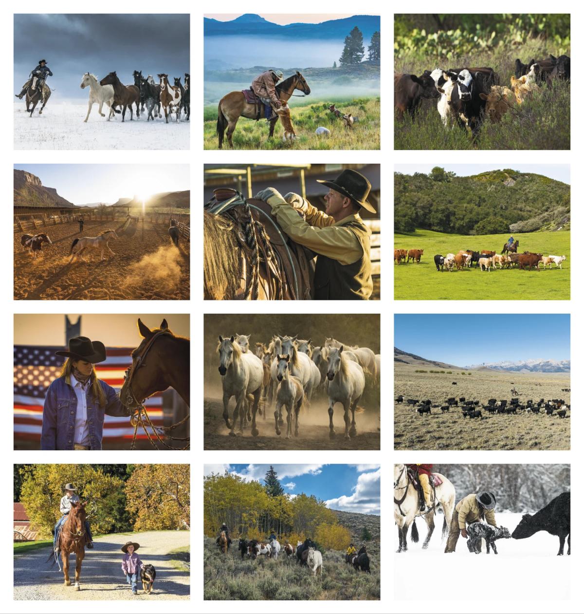 Visions of the West 16 Month Calendar