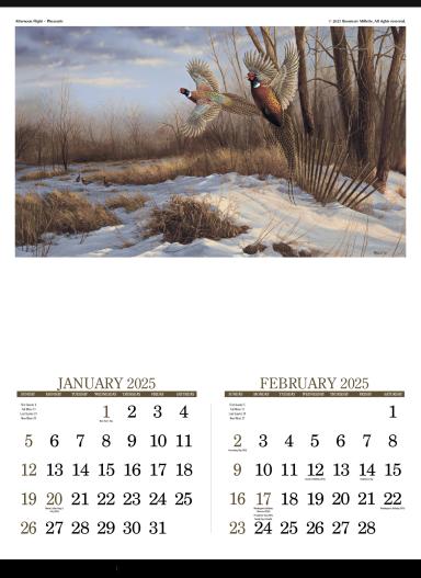 Wildlife Art Calendar