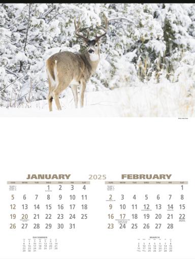 Wildlife Calendar