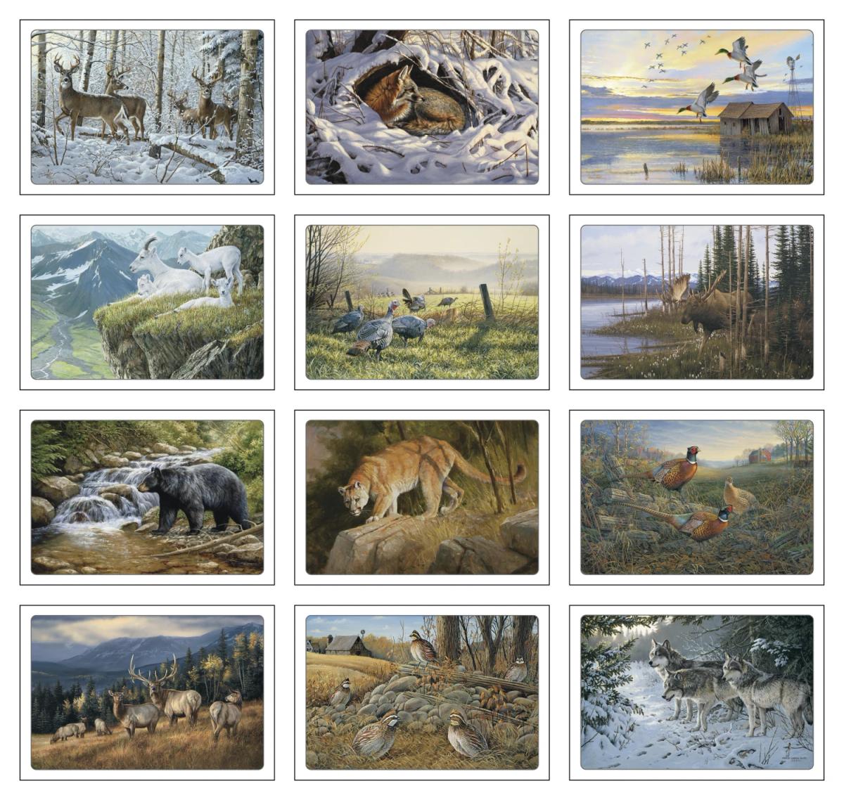 Wildlife Art by Dale Thompson Pocket