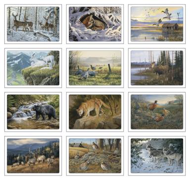 Wildlife Art by Dale Thompson Pocket