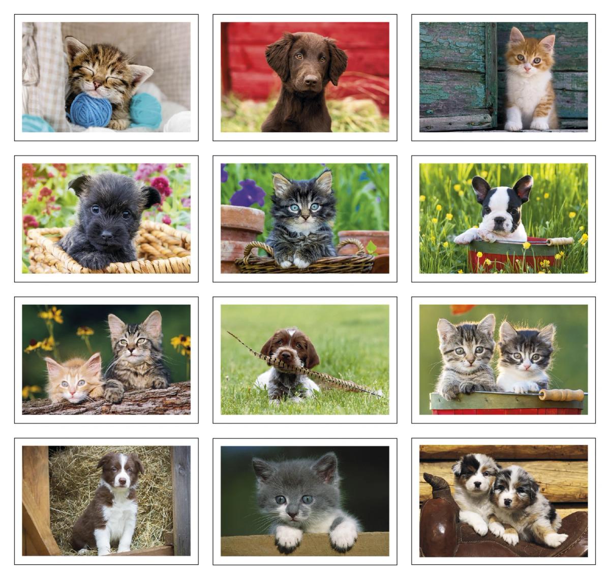 Puppies & Kittens Pocket Calendar
