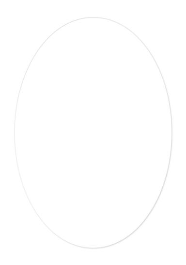 30 Mil Medium Stock Oval 2 Magnet
