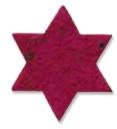 Star of David Plant a Shape Bookmark