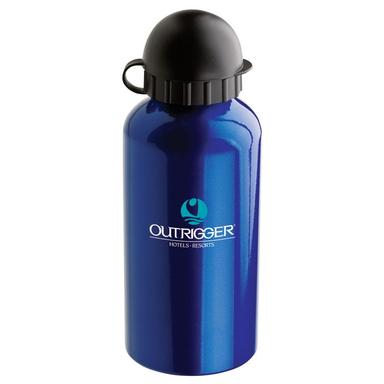 16.9 oz. Domed Flask 