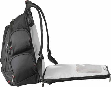 TSA 17" Computer Backpack