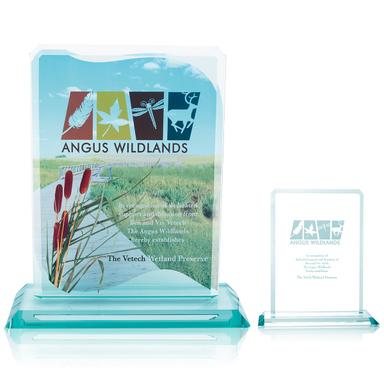 Clipped  Jade Crystal Award