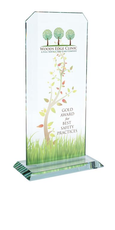 Starfire Echo Award - Large