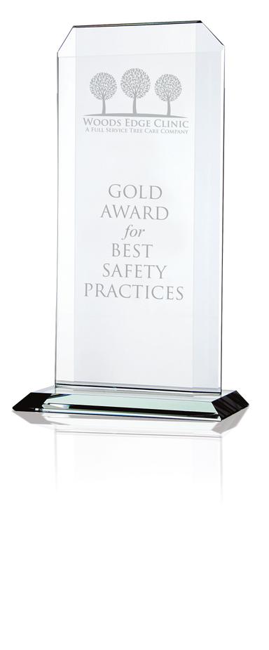 Starfire Echo Award - Large