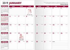 Card Stock Cover 7"X10" Planner w/ Academic Insert