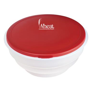 Collapsible Big Lunch Bowl