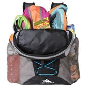 High Sierra Pack-n-Go Backpack