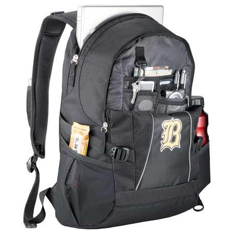 High Sierra Level 17" Computer Backpack