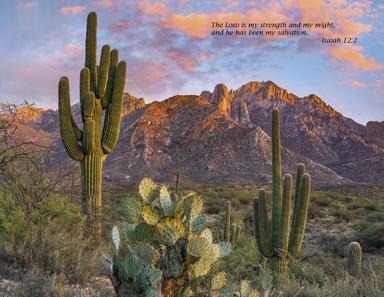 Triumph® Catholic Scenic Executive Calendar