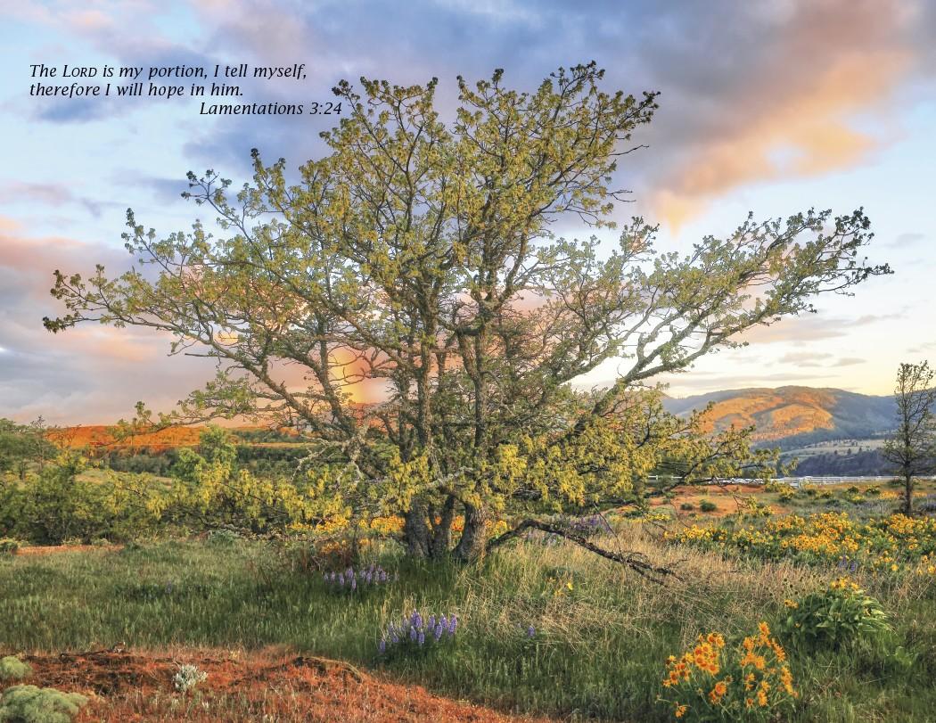 Triumph® Catholic Scenic Executive Calendar