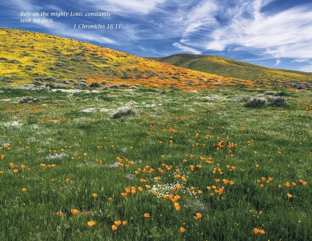 Triumph® Catholic Scenic Executive Calendar