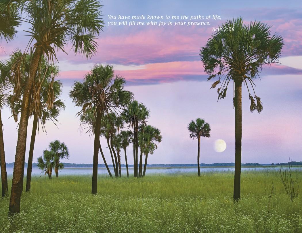Triumph® Catholic Scenic Executive Calendar