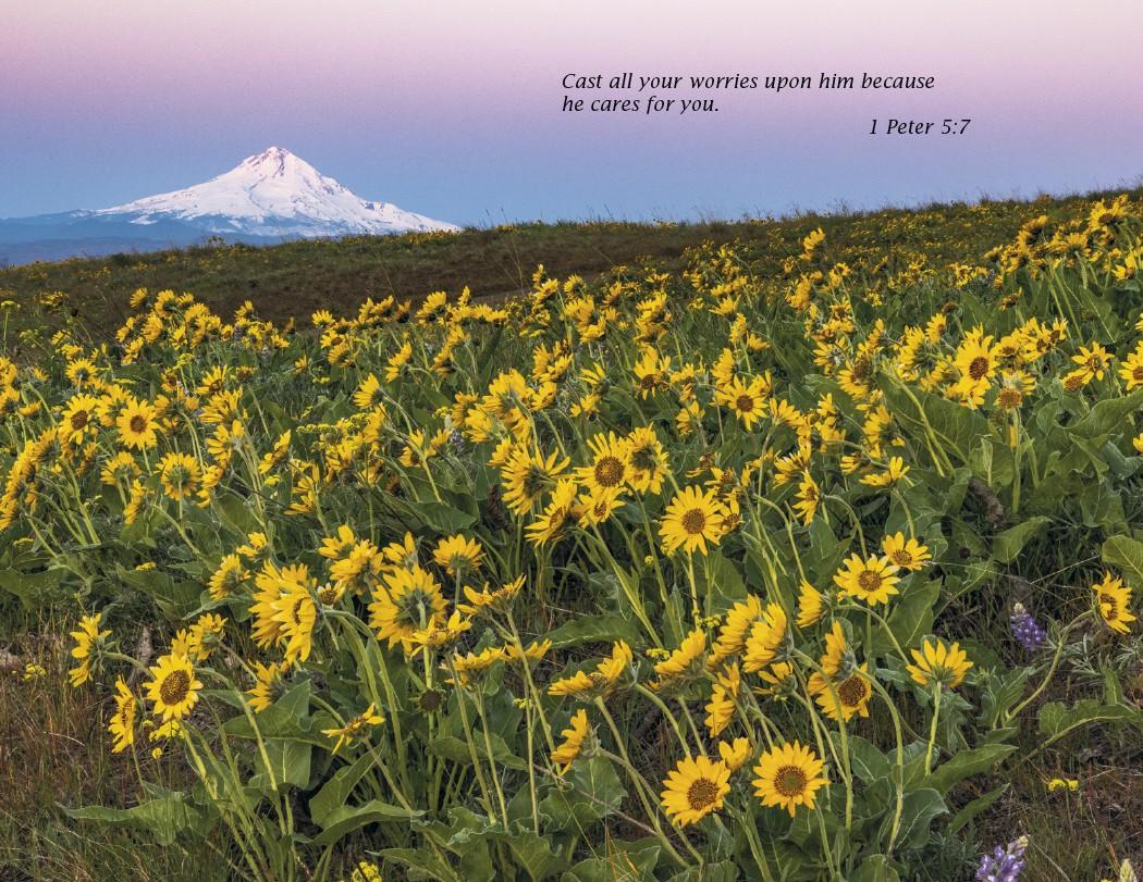 Triumph® Catholic Scenic Executive Calendar