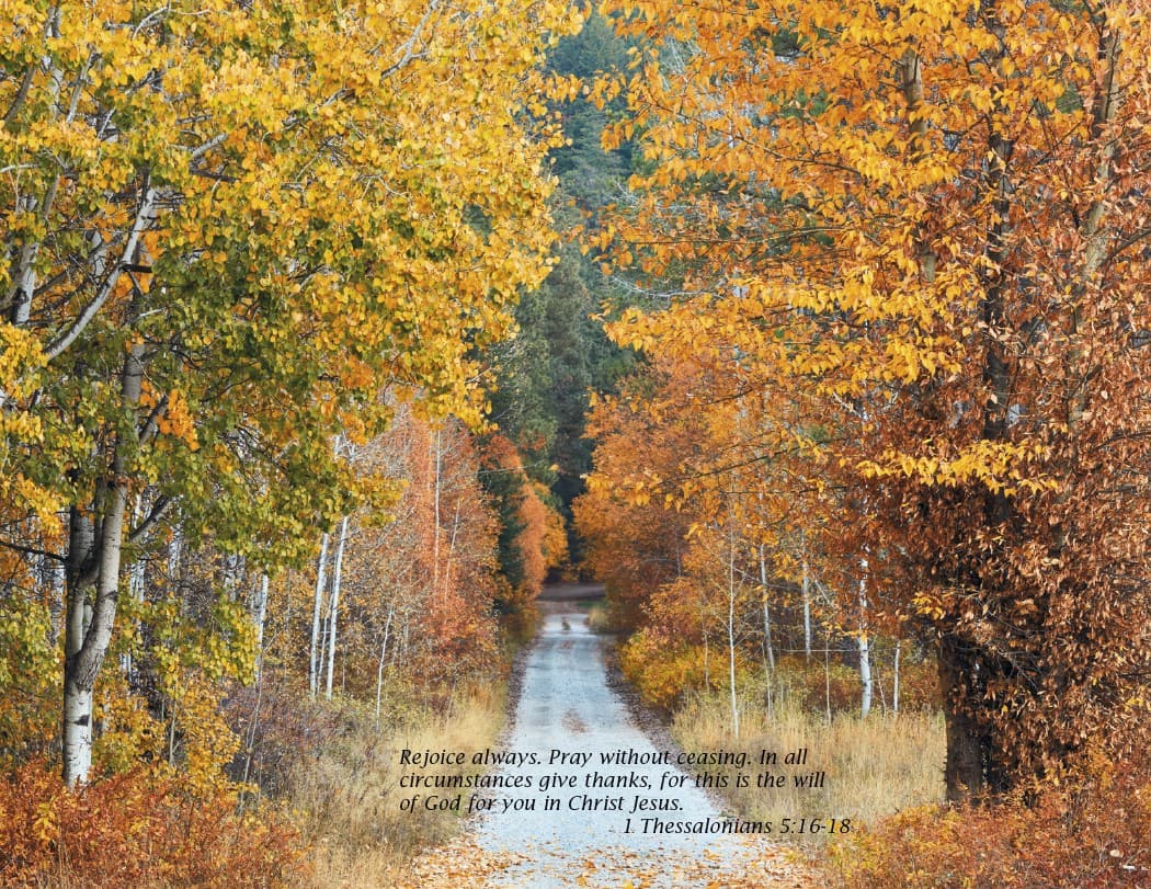 Triumph® Catholic Scenic Executive Calendar