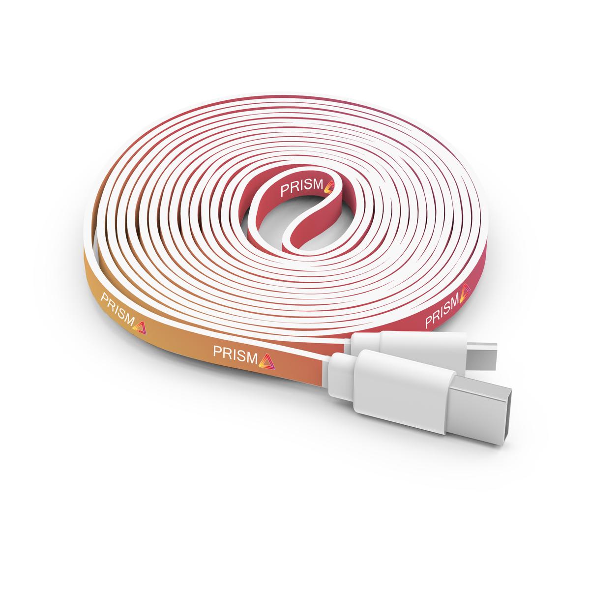 10 FOOT BRANDED CABLE