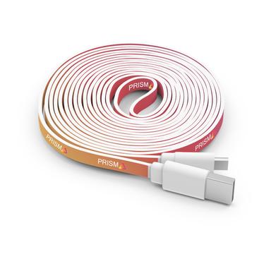 10 FOOT BRANDED CABLE