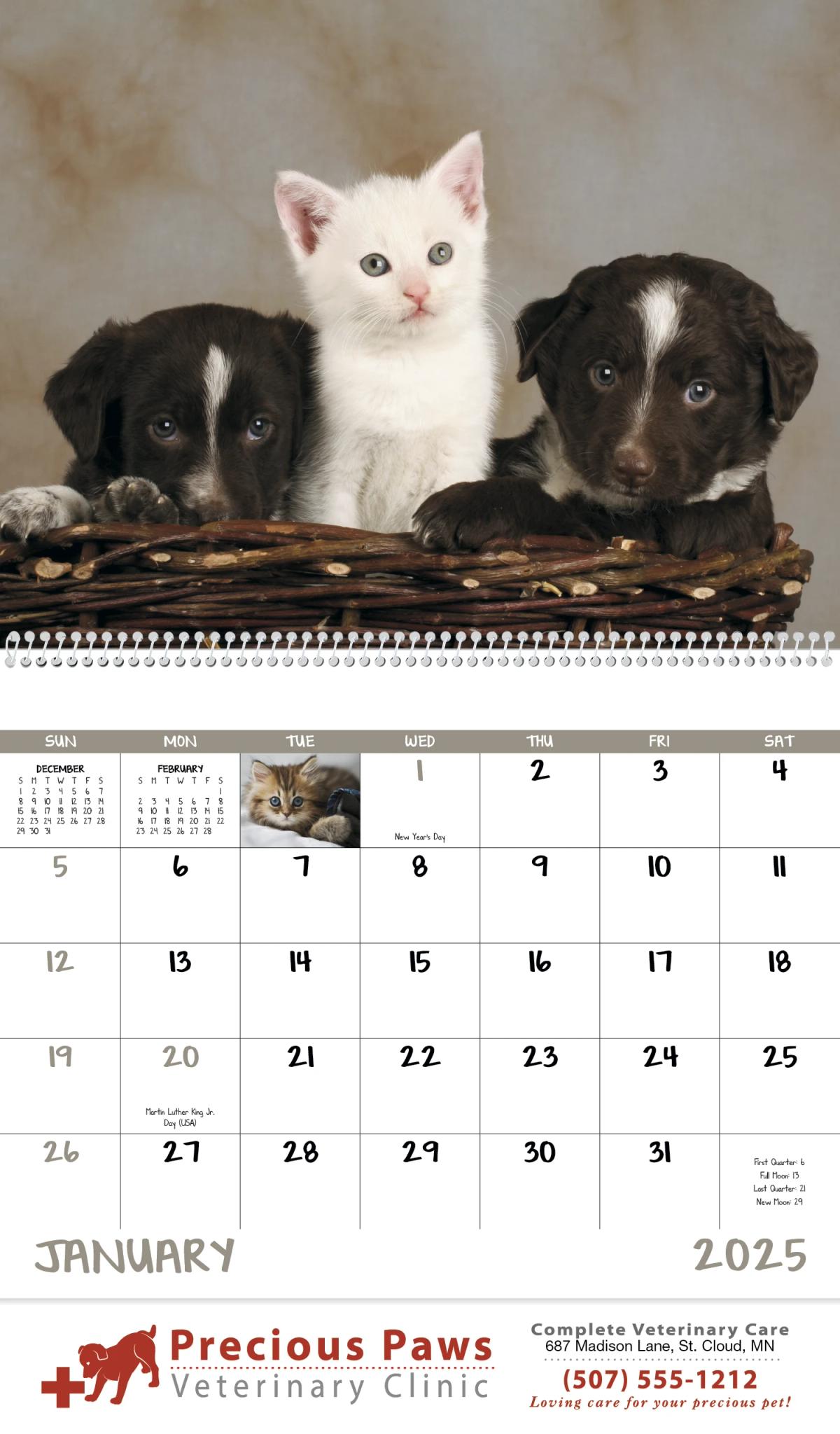 Puppies & Kittens - Spiral