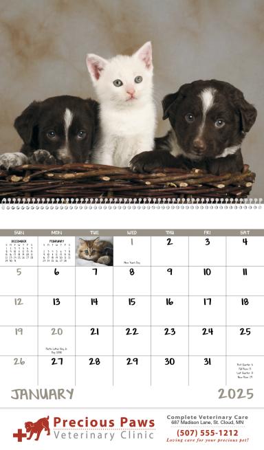 Puppies & Kittens - Spiral