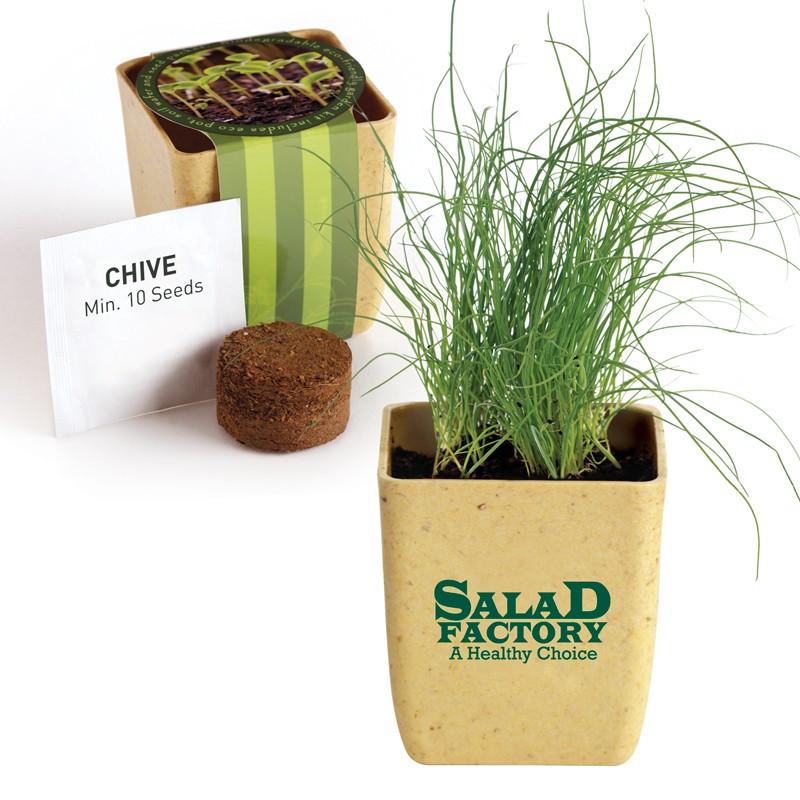 FLOWER POT SET WITH CHIVE SEEDS