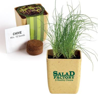 FLOWER POT SET WITH CHIVE SEEDS