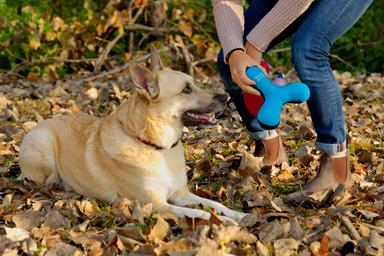 Toss-N-Float Dog Toy