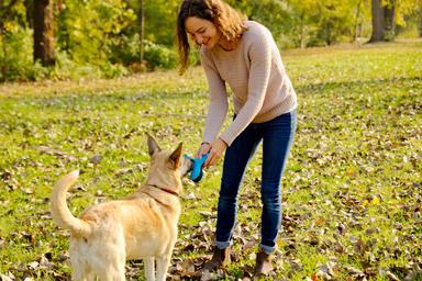Toss-N-Float Dog Toy