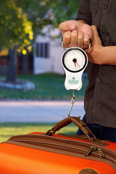 Weigh Cool Portable Luggage Scale