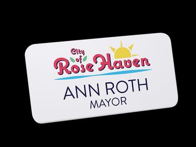 Digitally Printed Plastic Name Badges - 1.5" x 3"