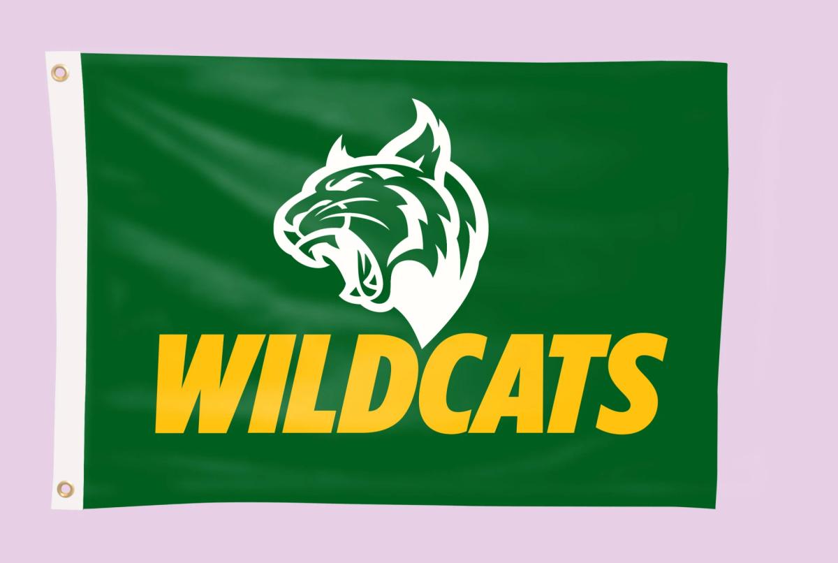 3-ft. H x 5-ft. W Team Flag (DOUBLE SIDED)