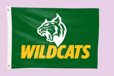 3-ft. H x 5-ft. W Team Flag (DOUBLE SIDED)
