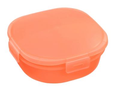 Lunch-In™ Container