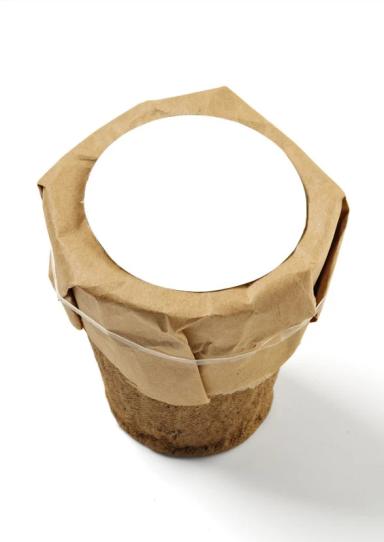 Growables Planter