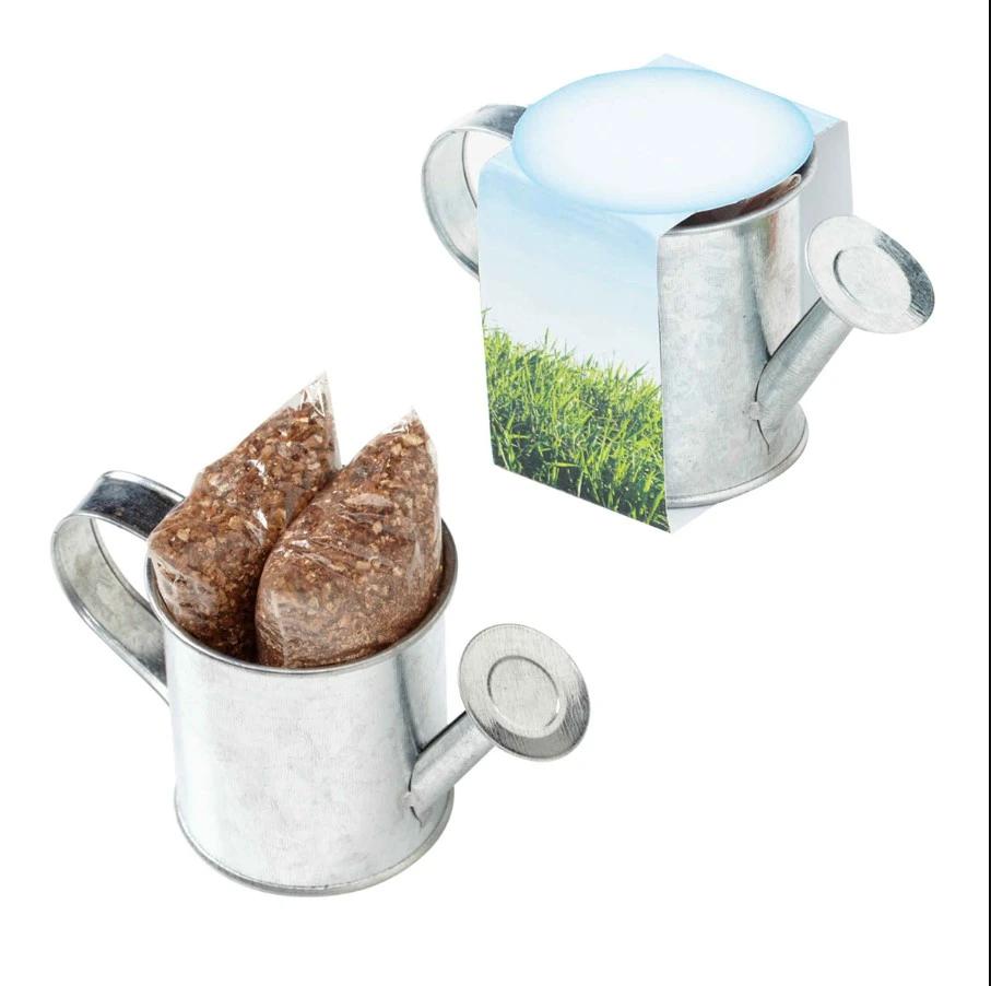 Seed Sensations Watering Can Planter
