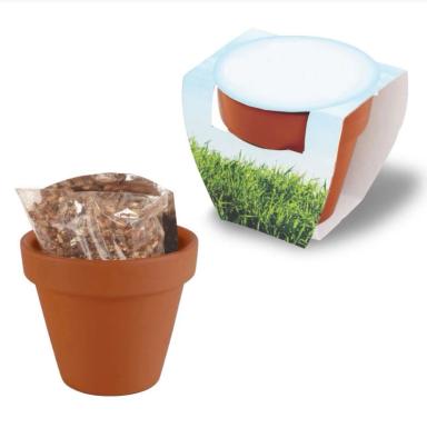 Terracotta Pot w/Seeds