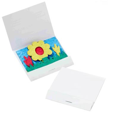 Wildflower Scene Seed Paper Matchbook