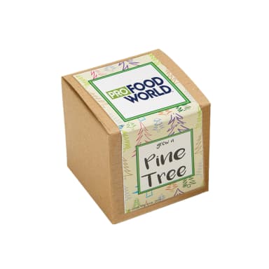 Growables Planter in Kraft Gift Box (Pine Tree)