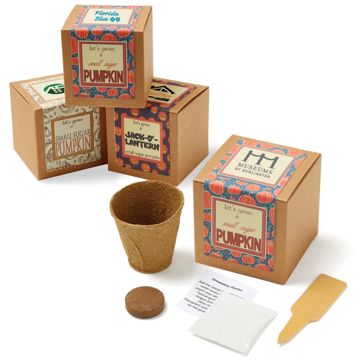 Growables Planter Pot in Kraft Gift Box w/Seeds (Small Sugar Pumpkin)