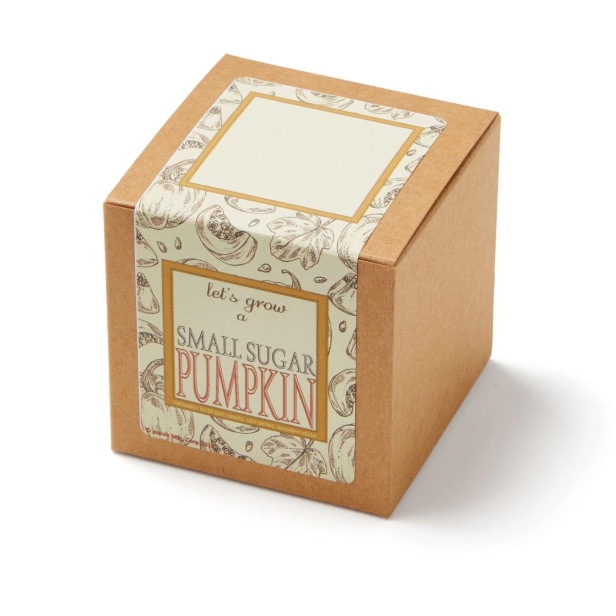 Growables Planter Pot in Kraft Gift Box w/Seeds (Small Sugar Pumpkin)