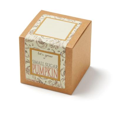 Growables Planter Pot in Kraft Gift Box w/Seeds (Small Sugar Pumpkin)