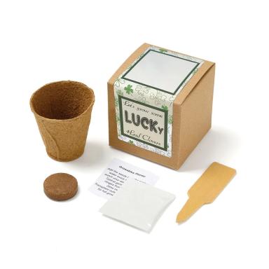 Growables Planter in Kraft Gift Box w/Seeds (Lucky 4 Leaf Clover)