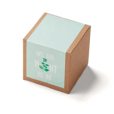 Inspirational Mint to Be Planter in Kraft Gift Box