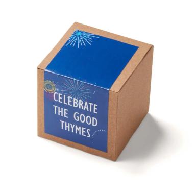 Inspirational Celebrate Good Thymes Planter in Kraft Gift Box